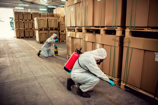 Best Mosquito Control Services  in Dundee, OR
