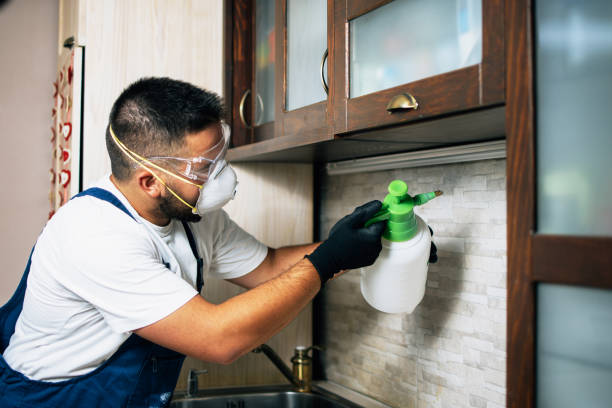 Best Rat Extermination Near Me  in Dundee, OR