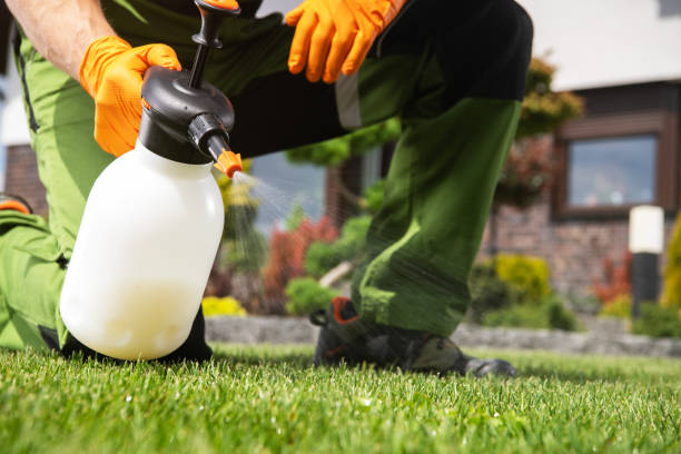 Dundee, OR Pest Control Company