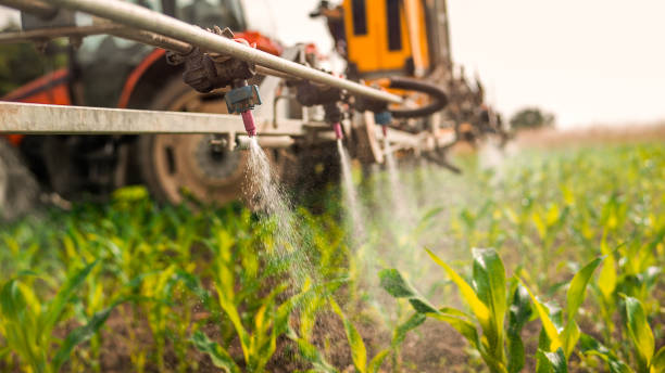 Best Mosquito Control Services  in Dundee, OR